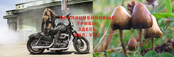 mix Медногорск