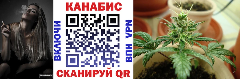Конопля Amnesia  Купить  Сокол 
